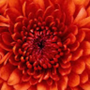 Meet your Posher, Natalia